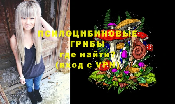 герыч Медвежьегорск