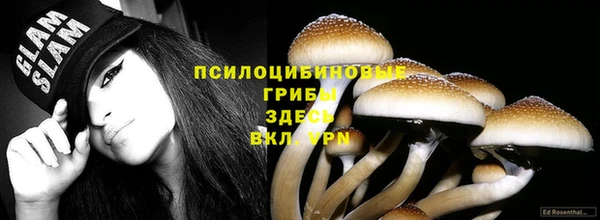герыч Магас