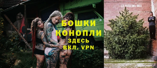 твердый Медногорск