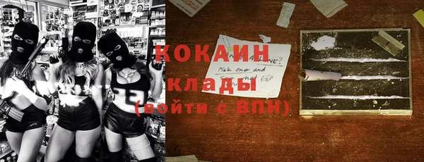 ПСИЛОЦИБИНОВЫЕ ГРИБЫ Магадан