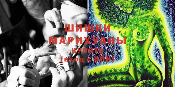 амф Мегион
