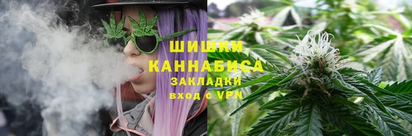 твердый Медногорск